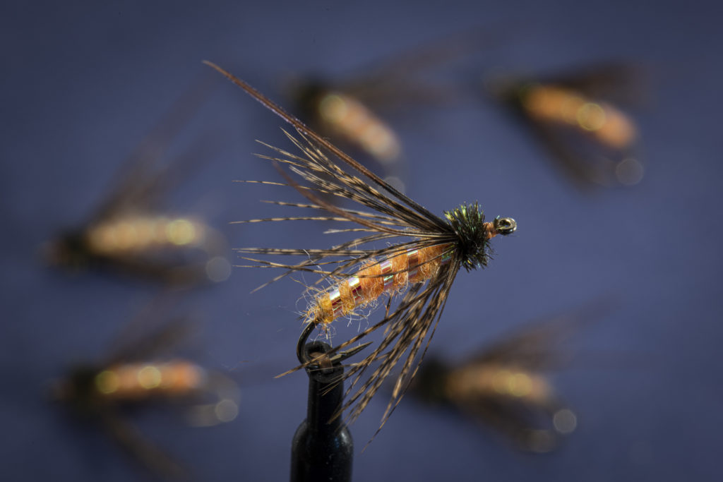 October Caddis Soft Hackle